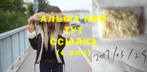 ГАЛЛЮЦИНОГЕННЫЕ ГРИБЫ Покров