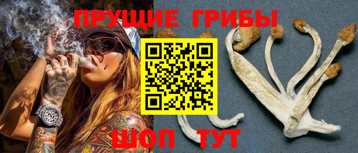Краснодар  Галлюциногенные грибы Psilocybine cubensis  Вход с VPN 